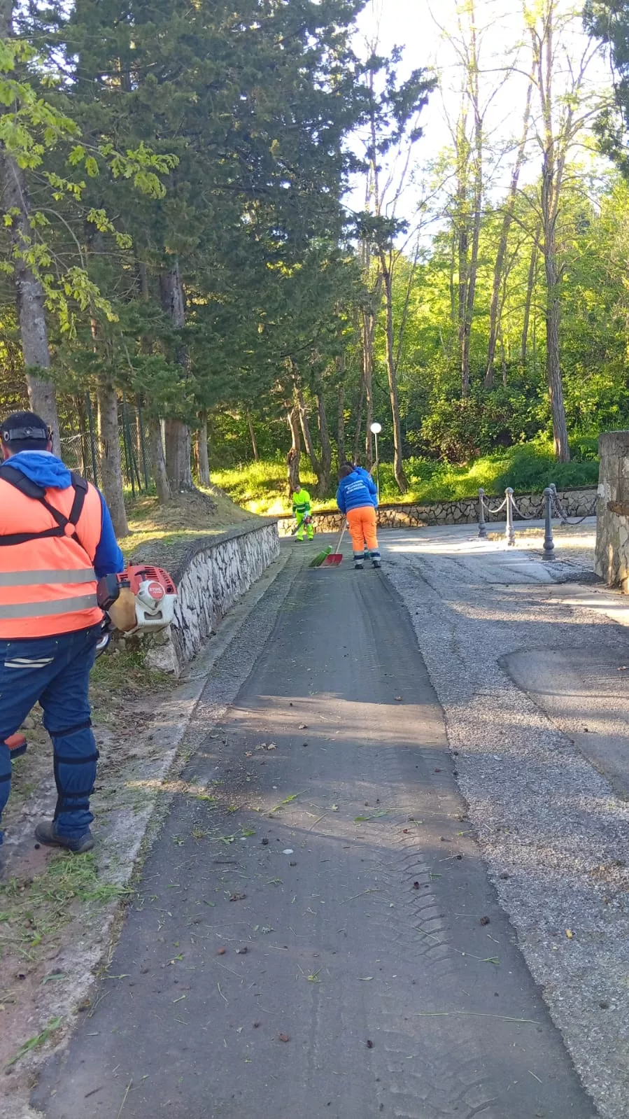 Al via gli interventi di cura del verde pubblico                                                                                           